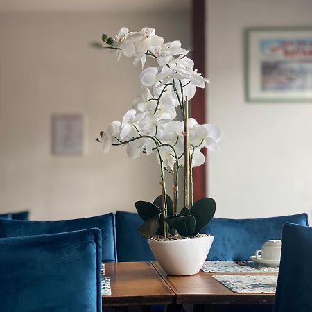 Hotel Le Pasteur Royan Kültér fotó